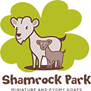 Shamrock Park